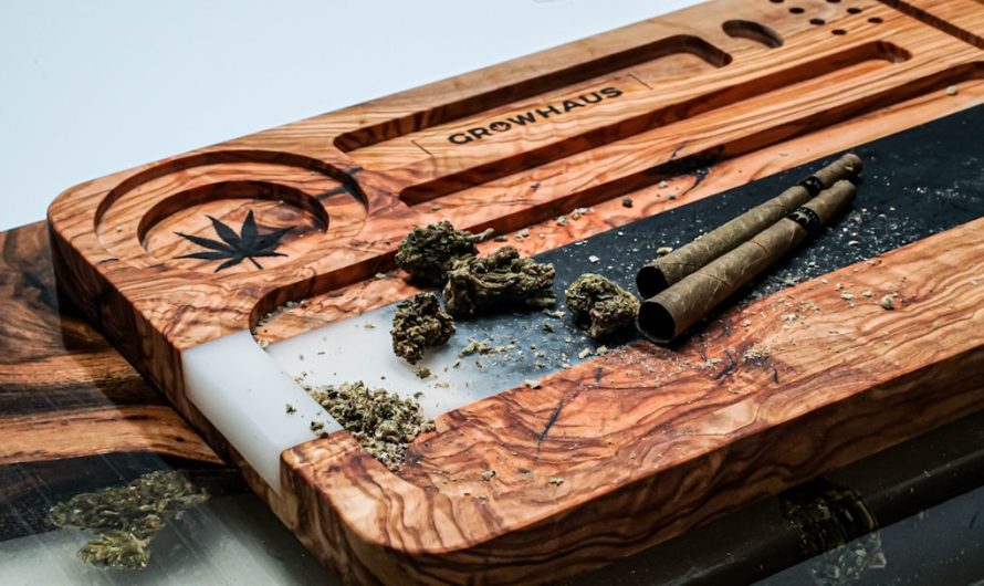 Seville’s Cannabis Culture