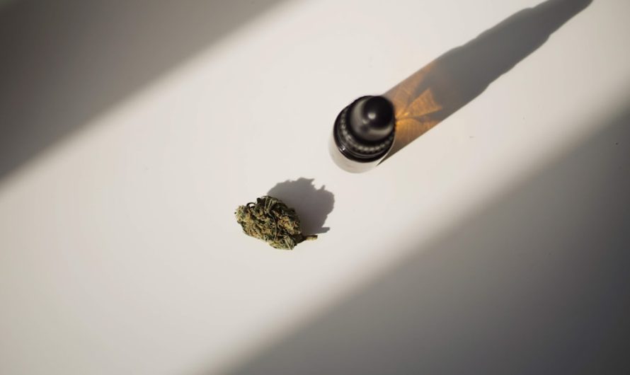 Greek Cannabis Market: Laws, Trends, and Buying Guide
