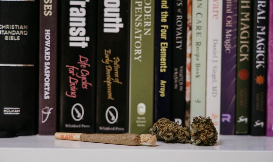 Palermo Cannabis: A Hub for Enthusiasts and Legal Insights