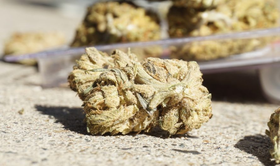 Buy Hashish in Toulouse – Online Dispensary