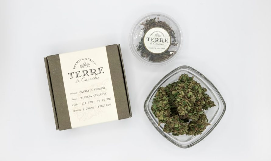 Cannabis Delivery in Germany