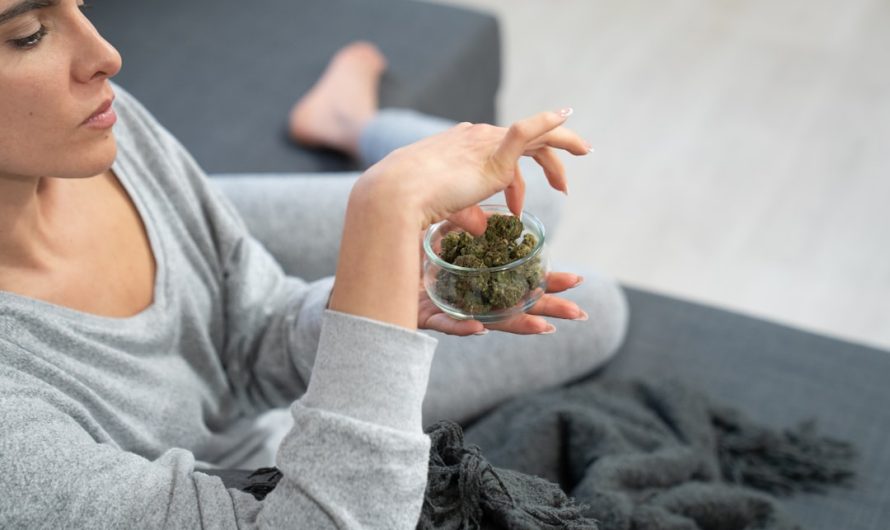 Cannabis in Essen: Your Guide to Buying High‑Quality Cannabis Online