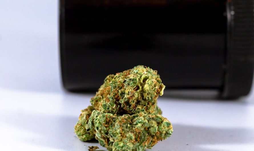 420 Shop in Luxembourg Your Ultimate Guide to Cannabis Shopping