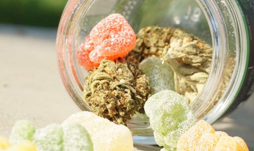 Cannabis Delivery in Poland: Your One‑Stop Online Shop
