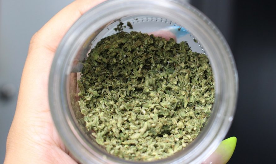 Looking for the best THC vape experience in Mannheim?