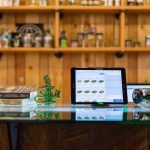 Welcome to the 420 dispensary in Szeged – the premier destination for anyone looking to explore the vibrant world of cannabis, marijuana, hemp, THC, and weed in Hungary img-2794.jpg