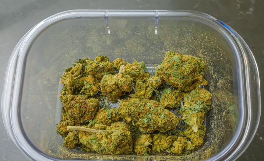 Cannabis Shop Hungary