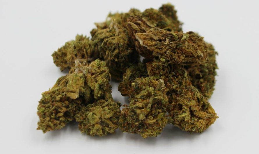 Buy Cannabis in Ljubljana