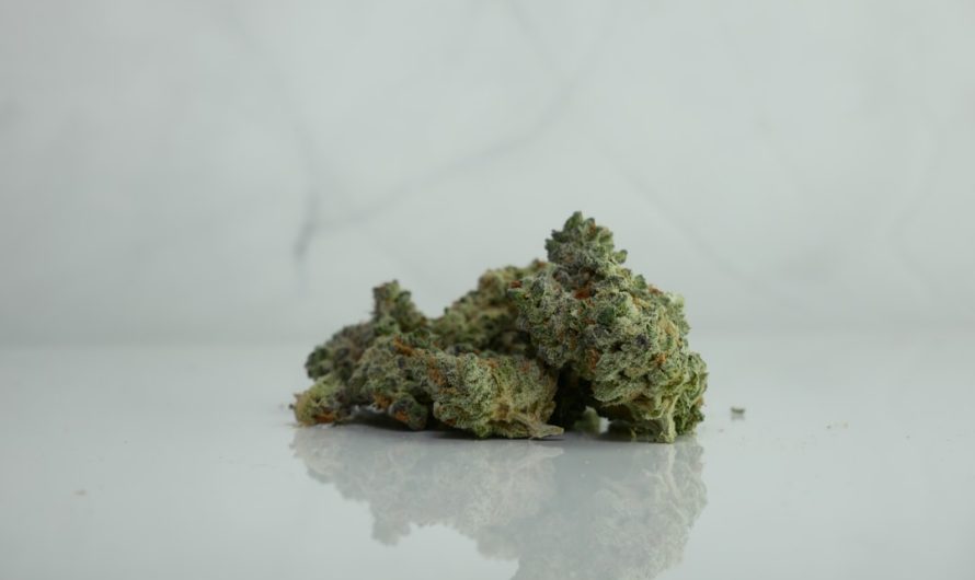 Manchester Weed Delivery Service