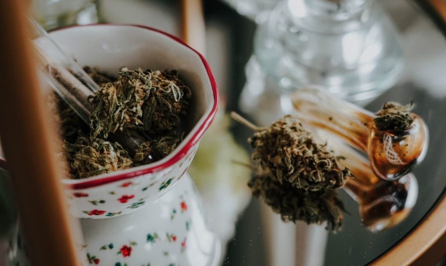 Amsterdam Weed Shop: Your Guide to Cannabis Culture