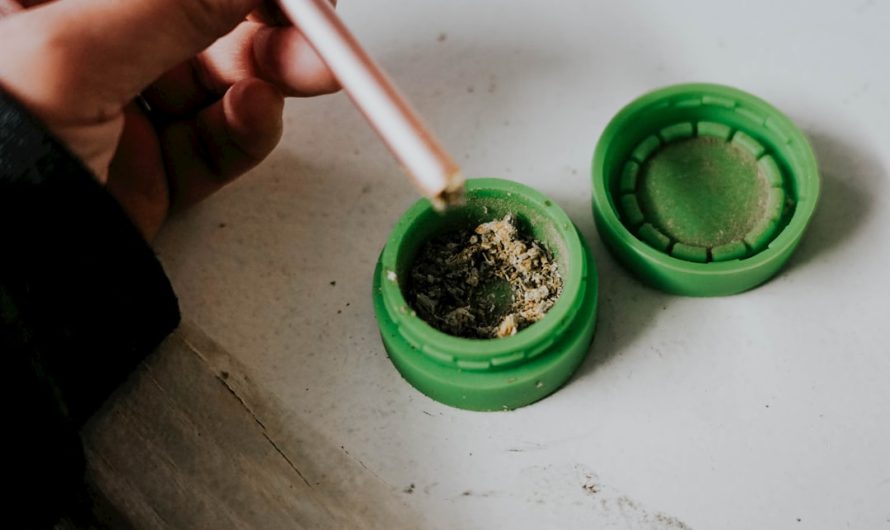 Welcome to the definitive guide for anyone looking to explore, purchase, or simply learn more about cannabis, marijuana, hemp, and all the related products that are becoming increasingly accessible across Europe