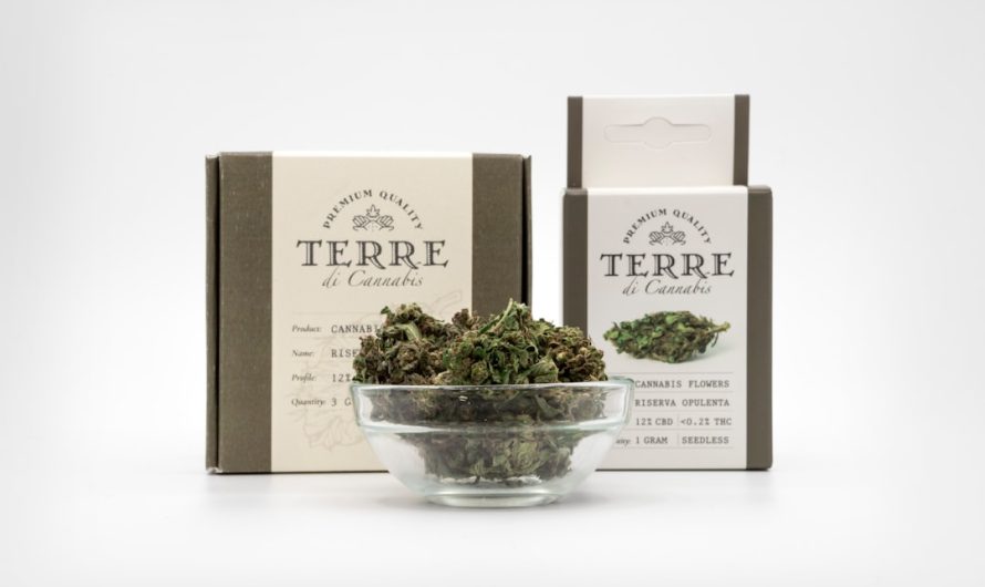 Warsaw Cannabis Shop: Your Ultimate Guide to Quality Weed and Accessories