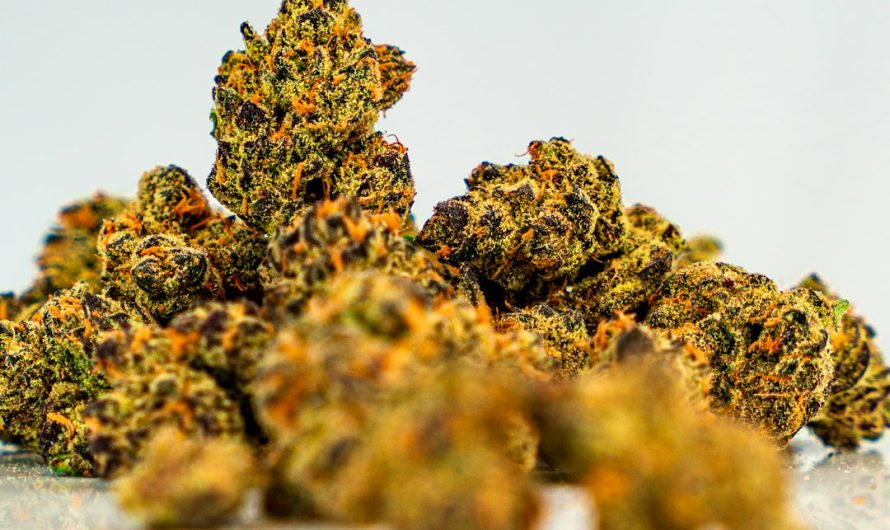 How to Buy Marijuana in Bucharest
