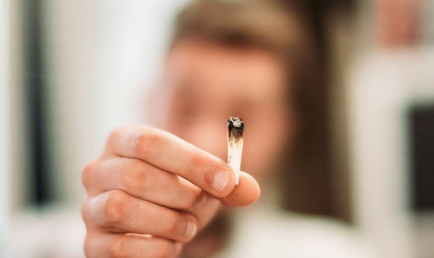 Bremen Cannabis Delivery: Legal, Fast, and Reliable