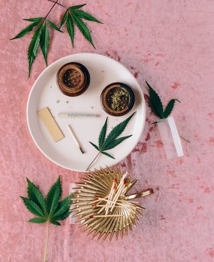 Cannabis Delivery Belgrade