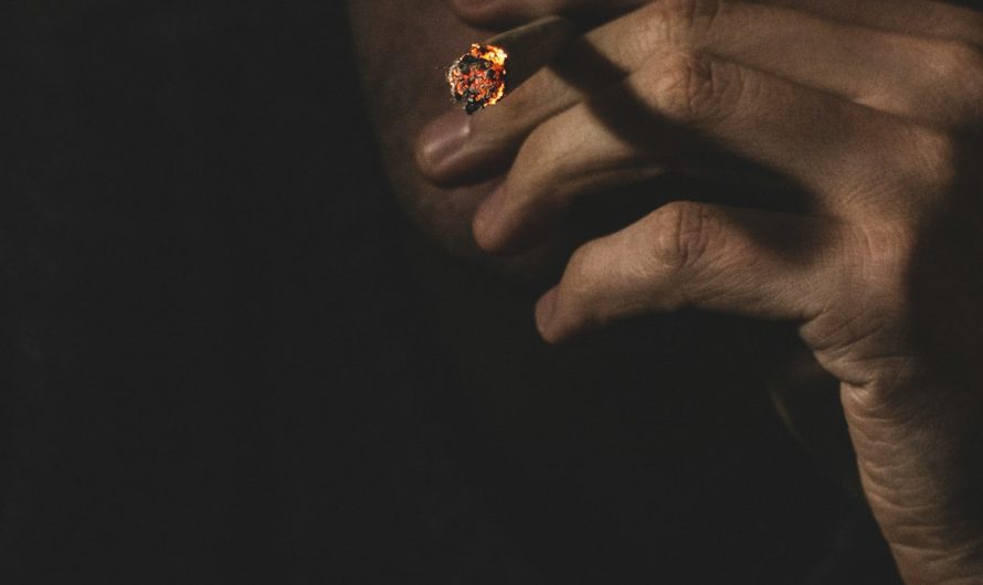 Welcome to the heart of Poland’s growing cannabis culture – Bydgoszcz