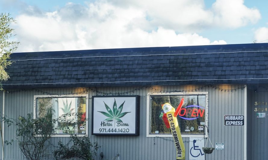 Welcome to the heart of Italy’s burgeoning cannabis scene