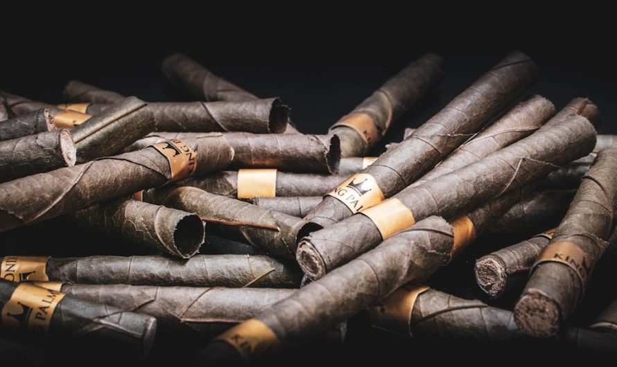 Vape Shop Bremen Your Reliable Source for THC CBD and Hemp Vapes