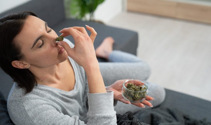 Graz Marijuana Guide