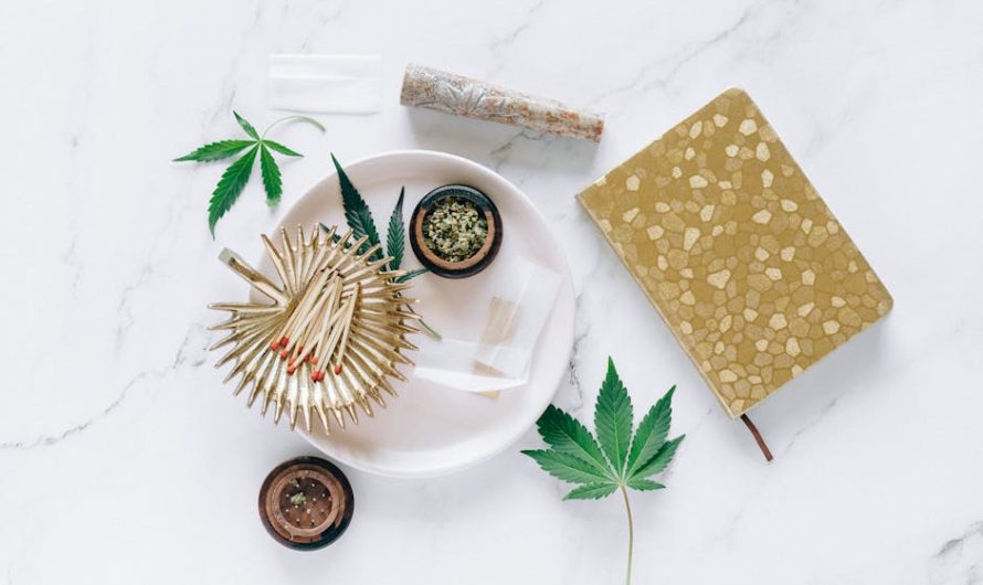 Naples Cannabis Shop: Your Complete Guide to Buying Marijuana in Naples