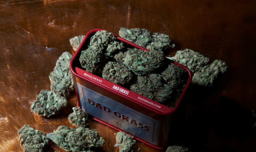 Looking for a reliable source of high‑quality THC vapes in Timisoara?