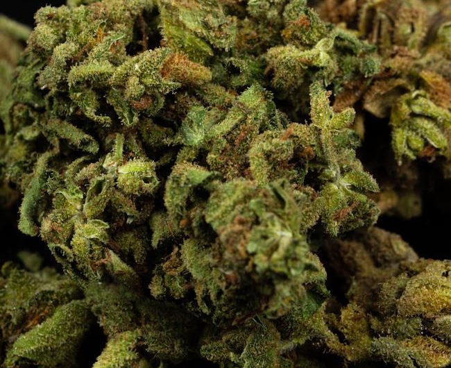 Cannabis Delivery Gothenburg