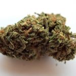 Malaga Cannabis: Your Complete Guide to Shops, Laws, and Delivery img-411.jpg