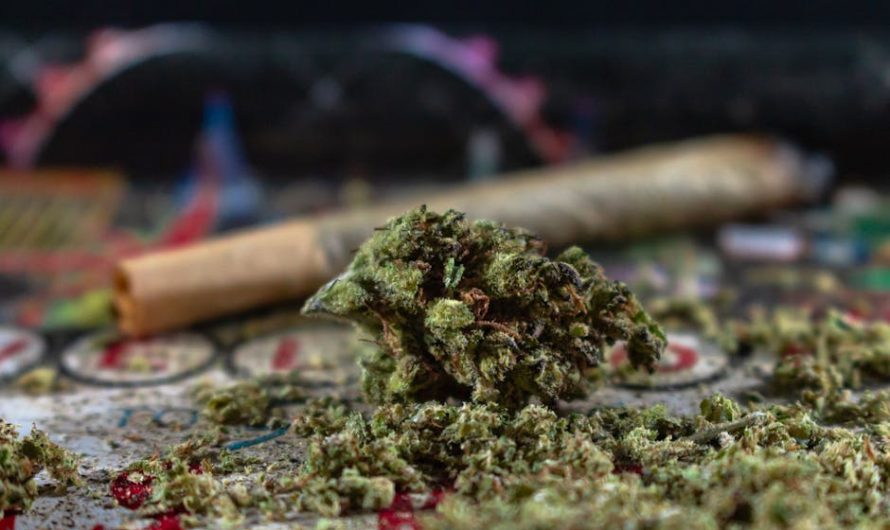 Welcome to the premier 420 shop in Belgrade
