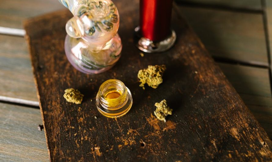 Cannabis Delivery Service in Plzen