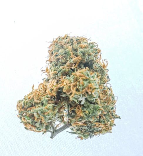 French Weed Store Your Premier Destination for Legal Cannabis in France