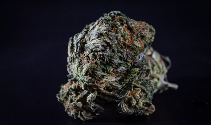 Buying THC Cannabis in France