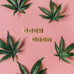 Bern, the capital of Switzerland, has become a focal point for cannabis enthusiasts and researchers alike img-615.jpg
