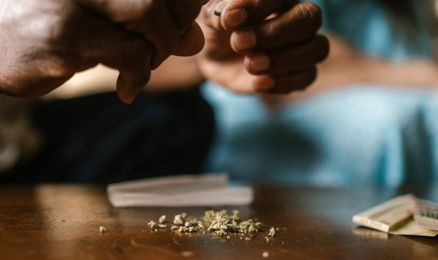 Premium Cannabis Online Shop in Alicante