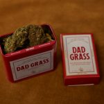 Cannabis in Sweden: Legal Guide and EU Service img-829.jpg