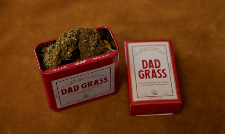 Cannabis in Sweden: Legal Guide and EU Service