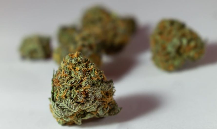 Looking for a reliable weed store in Crete