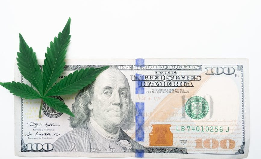 Welcome to the premier weed shop in Malmö