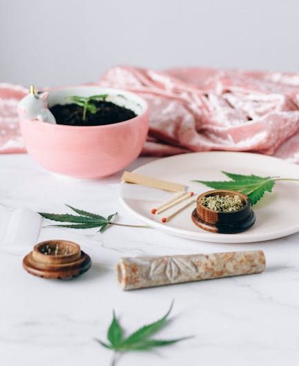 Welcome to the future of cannabis in Estonia
