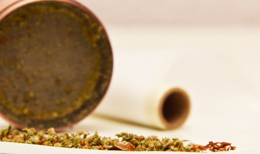 Premier Cannabis Shop in Slovenia